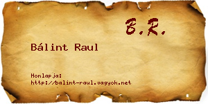 Bálint Raul névjegykártya